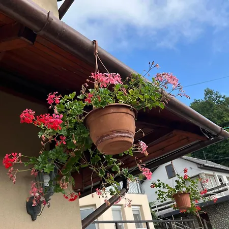 Διαμέρισμα Sarkany Es Vendeghaz Miskolctapolca *