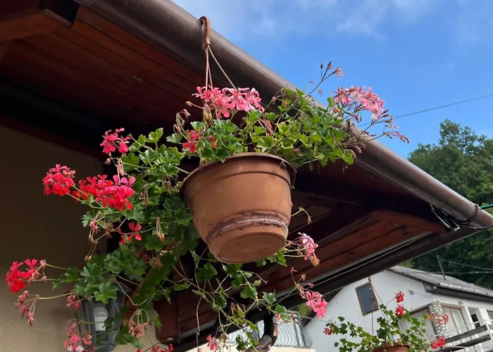 Apartment Sarkany Es Vendeghaz Miskolctapolca *